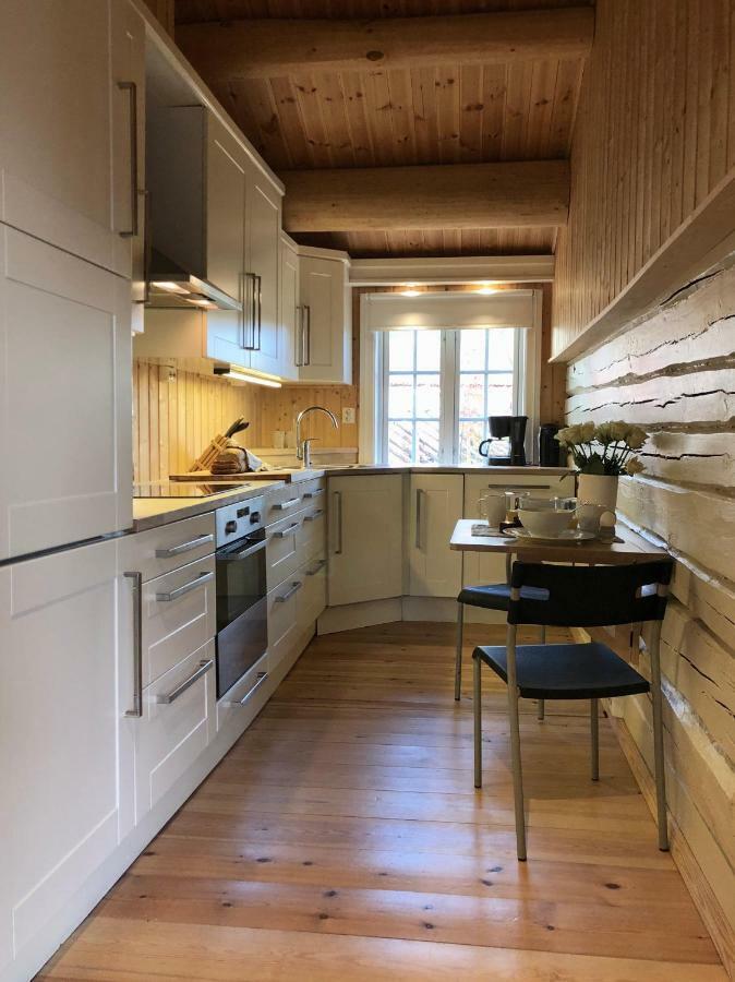 Svenskveien 23B Villa Røros Eksteriør billede